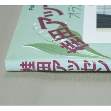 桂田アッセンデルフト オランダ花便り / 桂田淹代 / マコー社