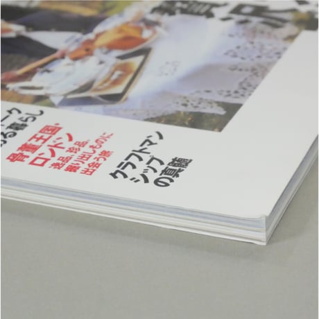 太陽 1996年6月号 No.423 / 平凡社