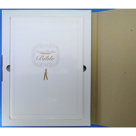 スーパードルフィー バイブル Super Dollfie Bible 箱入り / メディアワークス
