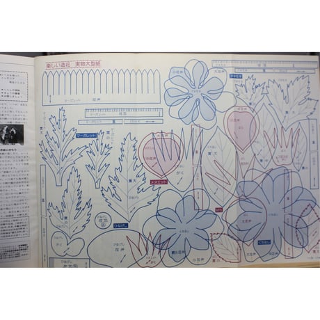 NHK婦人百科 昭和52年 / 1977年6月号