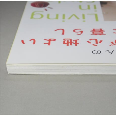 加藤真有里さんの光と風が心地よいすてきな暮らし 別冊美しい部屋 主婦と生活社