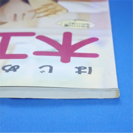 はじめてでもできる木工クラフト / レディブティックシリーズno.1742 / ブティック社