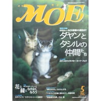MOE モエ / 1999年5月号 / 白泉社