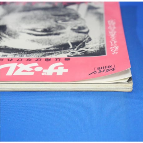 ザ・ヌレエフ 鳥は翔ばなければならない / ショパン別冊 / 東京音楽社