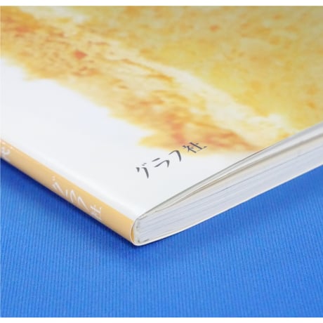 シフォンケーキBOOK 配合と風味を極めた、きれいにおいしくできるレシピ49 隈部美千代 / グラフ社