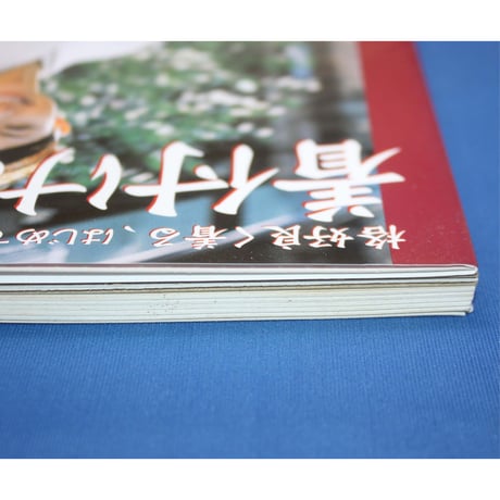 格好良く着る、はじめての着付け＆帯結び / 目指せ、着物美人 / DVD付き / 永岡書店