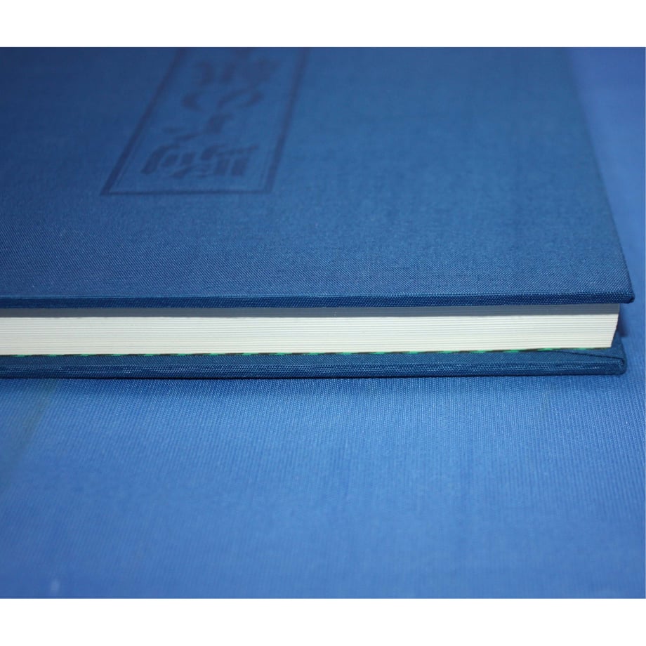 6491378bb46a37002a655537