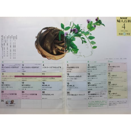 NHK婦人百科 平成2年 / 1990年4月号