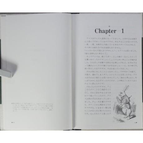 不思議の国のアリス・オリジナル 書籍情報社