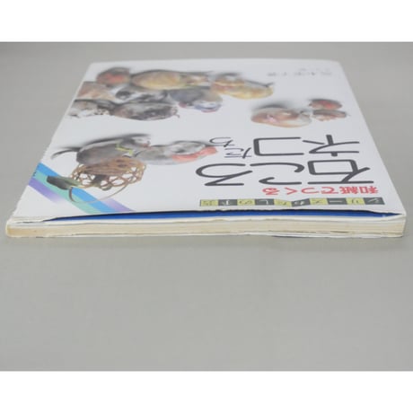 和紙でつくる石ころネコたち 高木栄子 / マコー社