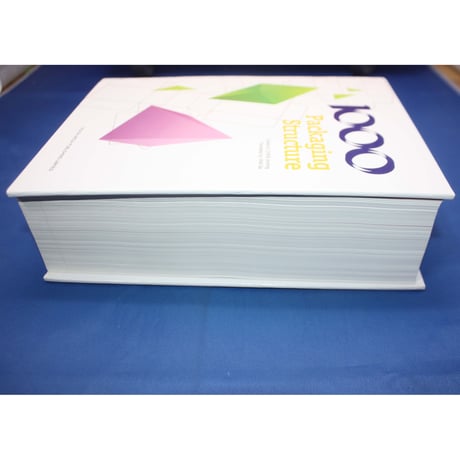 1000 Packaging Structure
