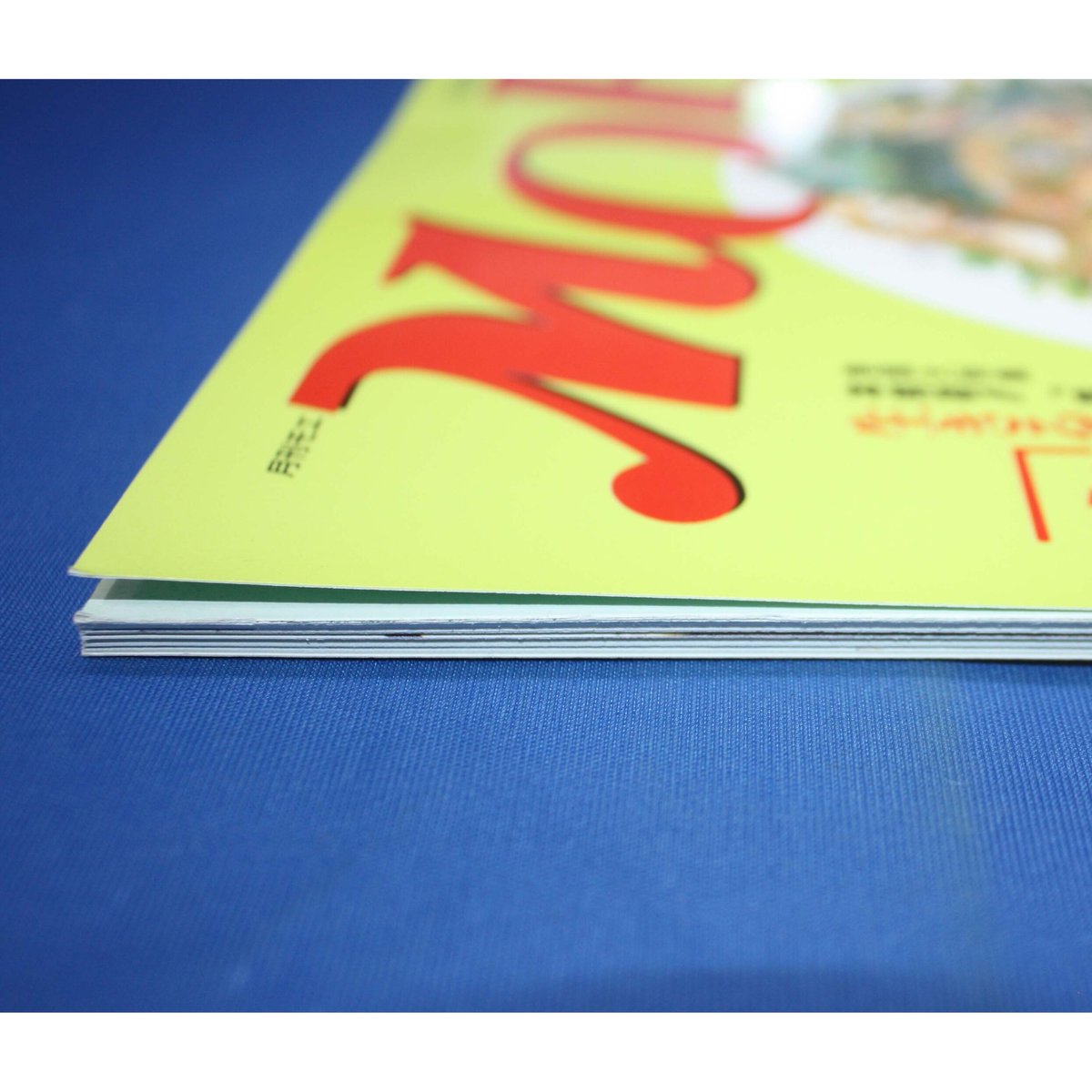 MOE モエ / 2001年7月号 / 白泉社 | IWブックス