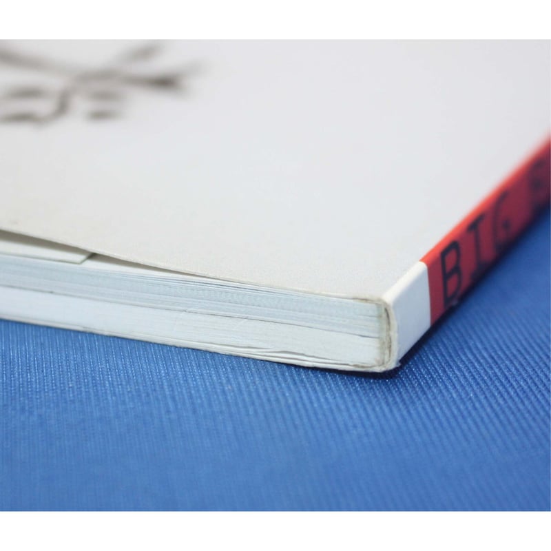 BIG BAG ジュート麻でハンドメイド / 日本ヴォーグ社 | IWブックス