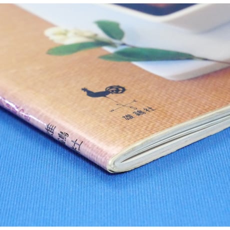 Chocolate book 生チョコ＋トリュフ＋焼き菓子のレシピ20 信太康代 / 雄鶏社