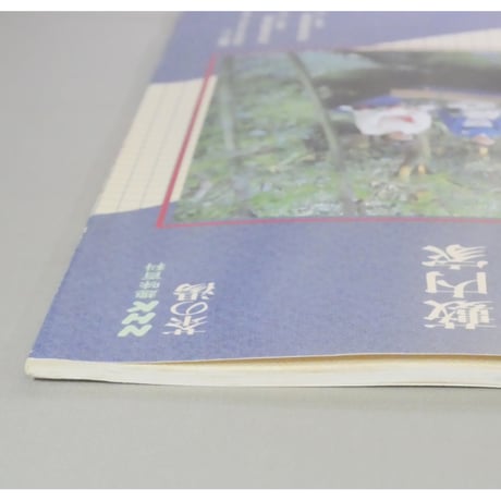 NHK趣味百科 茶の湯 はじめての茶会 薮内家 薮内紹智 / 日本放送出版協会