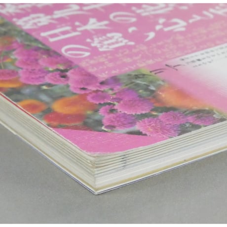 季刊銀花 第九十三号 春 1993年93号 文化出版局