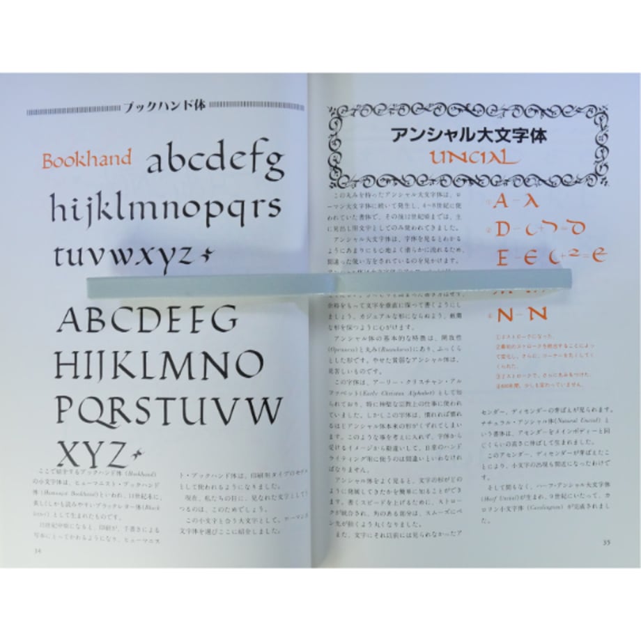 665d6c2b9b4c1905af5ad37f