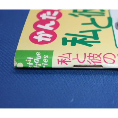 かんたん可愛い！私と彼の手編み小物 / プチブティックシリーズ119 / ブティック社