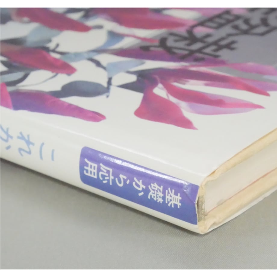69d4b4e34961f50041b81555