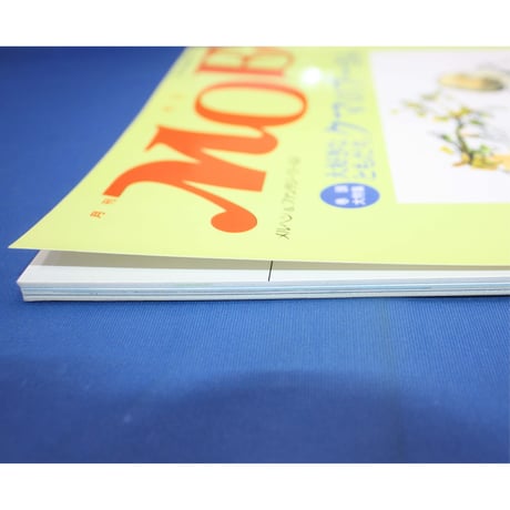 MOE モエ / 1998年7月号 / 白泉社