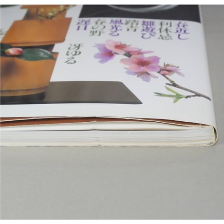 家庭画報特選 茶の湯の楽しみ 茶花歳時記 炉編 / 世界文化社