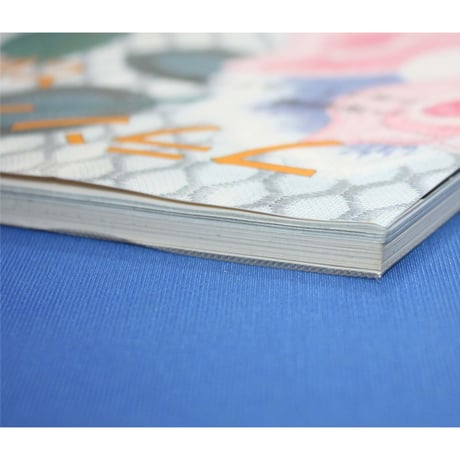 フランス刺繡と図案 37 戸塚きく・貞子 / 啓佑社