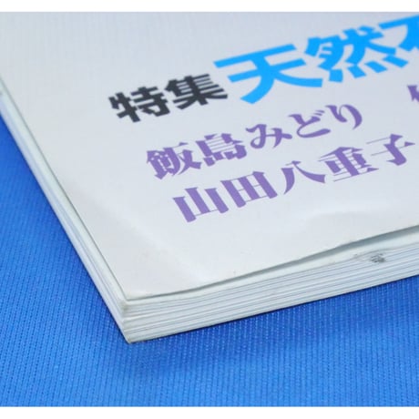 Beads Bee ビーズ・ビー Vol.11 パッチワーク通信社