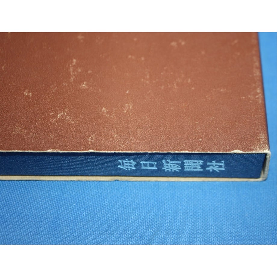 6491378bb46a37002a655537