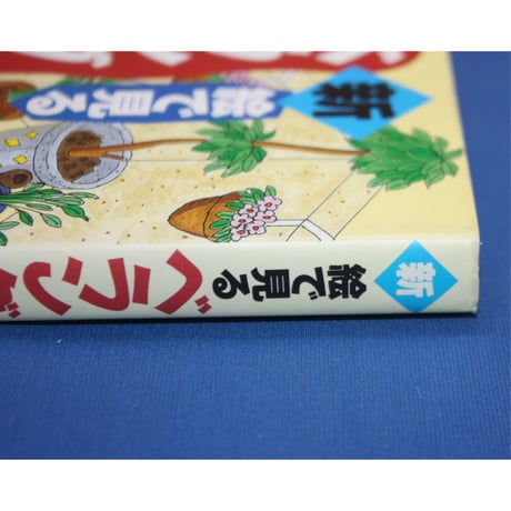 新絵で見るベランダ陶芸 / 堀克已 / フットワーク出版社