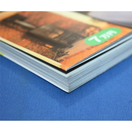 自分でできる！10万円で劇的リフォーム / DO SERIES / 立風書房