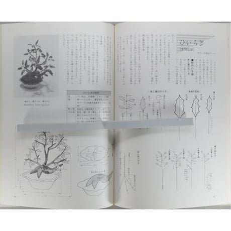 これからの創作盆栽 国藤光枝・盆創のすべて / マコー社