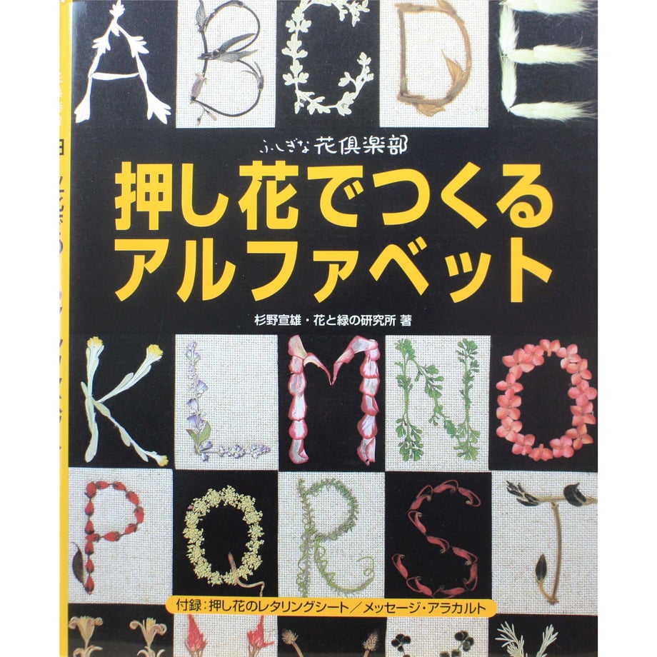 64d04c810959db003217ee84