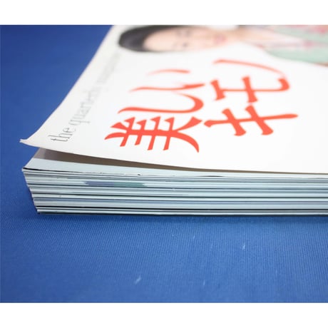 美しいキモノ 1995秋 no.173 / 琳派・七五三の祝い / 婦人画報社