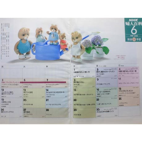 NHK婦人百科 平成1年 / 1989年6月号