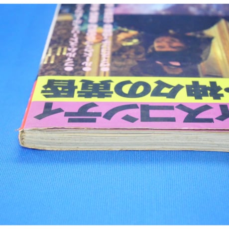 ペーパームーン ヴィスコンティ=ルードウィッヒ・神々の黄昏 / 新書館