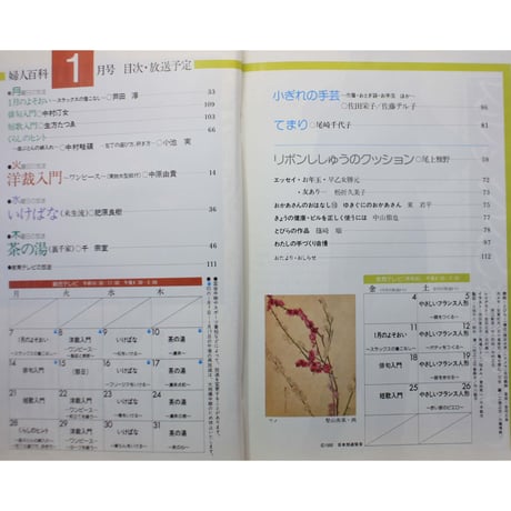 NHK婦人百科 昭和55年 / 1980年1月号