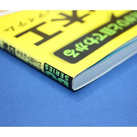 図解ガーデン工房 作り方がひと目でわかる / DO SERIES / 立風書房