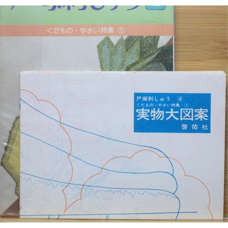 戸塚刺しゅう 4 戸塚きく・貞子 / 啓佑社