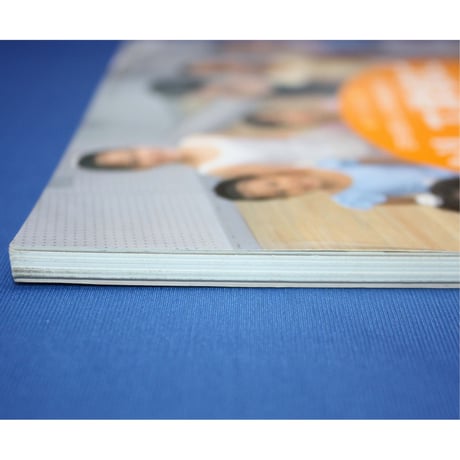 バレエ学校に行きたい！日本全国バレエ学校徹底ガイド / クララ増刊 / 新書館
