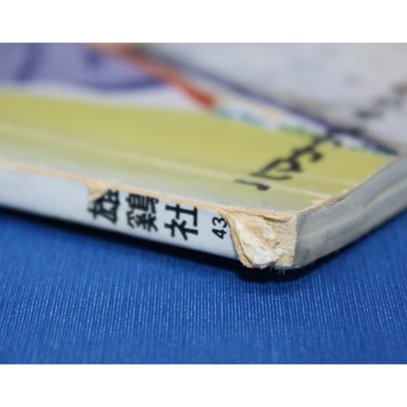 ショールとストール ⑤ (昭和51年)  雄鶏社