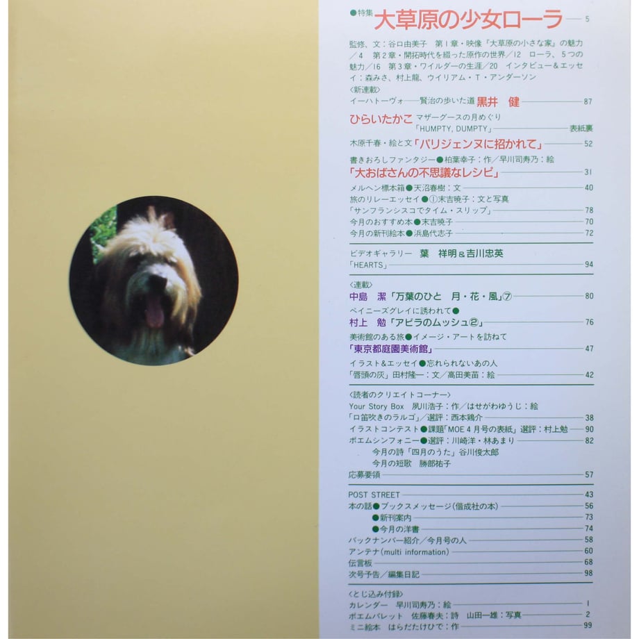 64759ef4b45246002b13fc9b