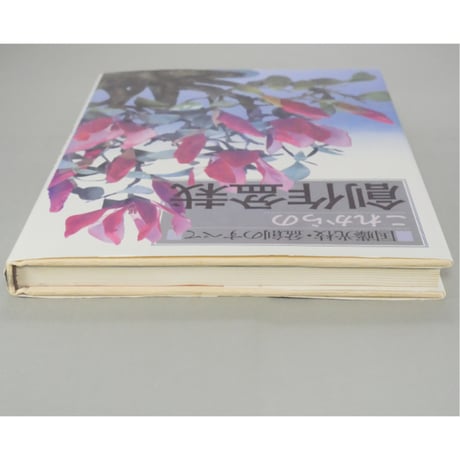 これからの創作盆栽 国藤光枝・盆創のすべて / マコー社