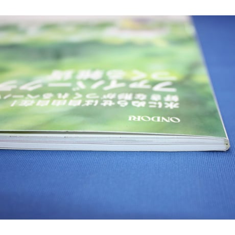 ファイバークラフトでつくる雑貨  / 雄鶏社