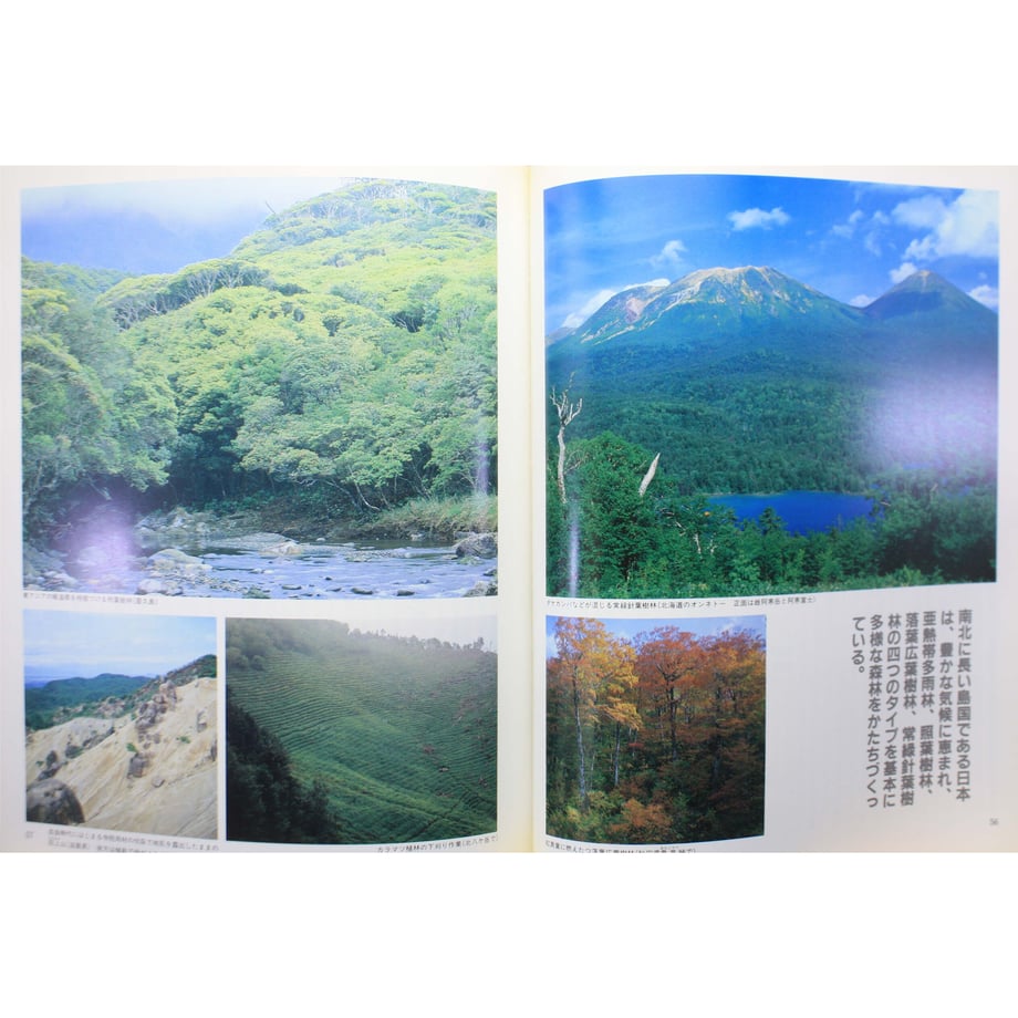 64379ed0243a750028a5a37e