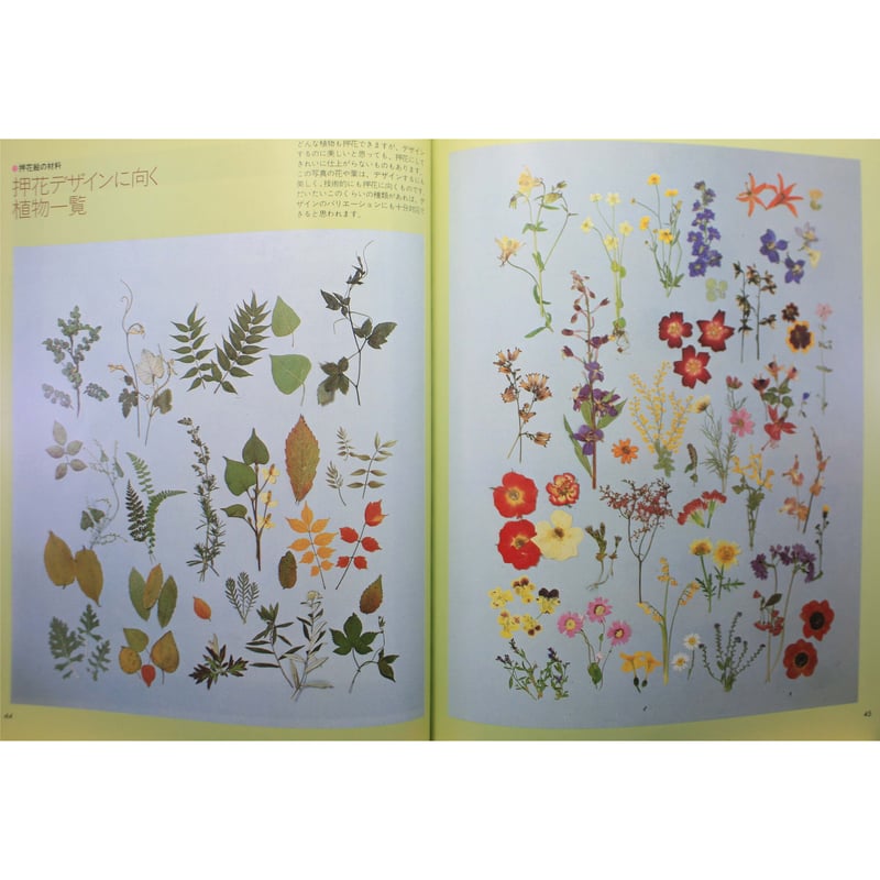 四季を彩る押花デザイン入門 / 岩田一恵作品集 / 主婦の友社 | IWブックス