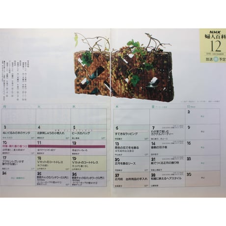 NHK婦人百科 平成2年 / 1990年12月号