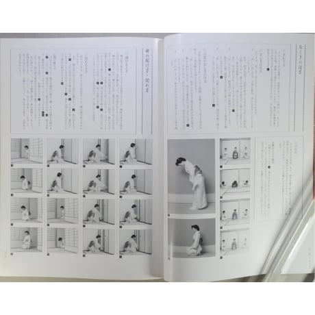 決定版 茶道入門 / 淡交ムック 淡交社