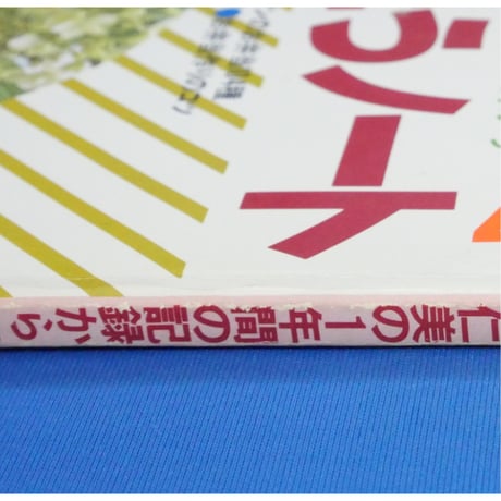 愛情弁当ノート 長沼仁美の1年間の記録から / 主婦の友社