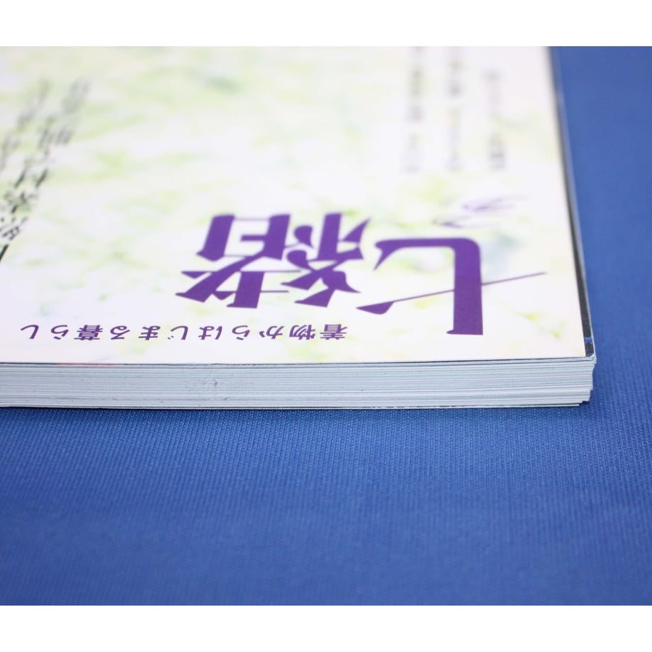 64e56d5c888a2e0030956310