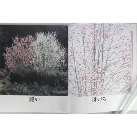 家庭画報特選 茶の湯の楽しみ 茶花歳時記 炉編 / 世界文化社